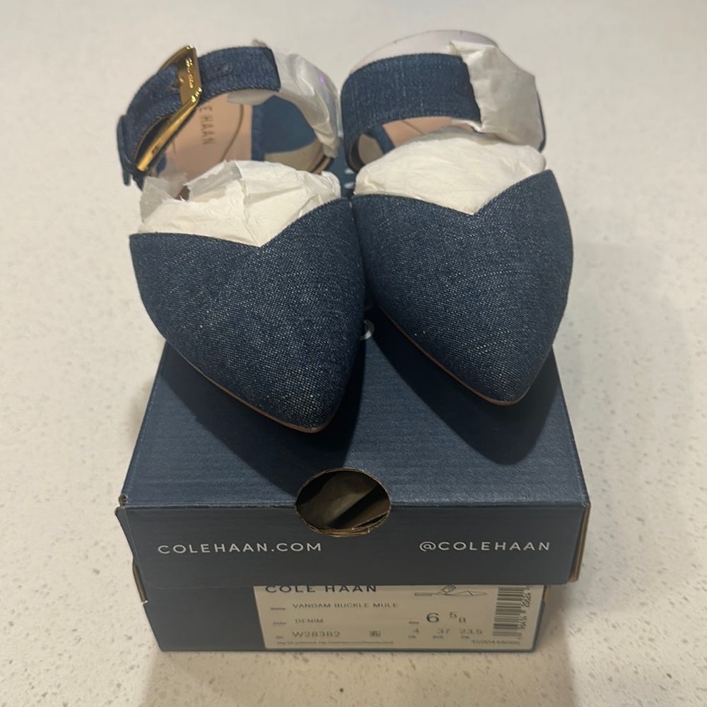 Size 6 Cole Haan Vandam Buckle Mules